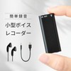 Hobinavi Voice Recorder, 16 GB IC Recorder, Recording Machine, Compact,