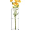 CYS EXCEL Clear Glass Cylinder Flower Vase (H:8" D:3") Hurricane
