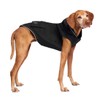 Canada Pooch Torrential Tracker Dog Rain Jacket (Black, 8 (7-9"