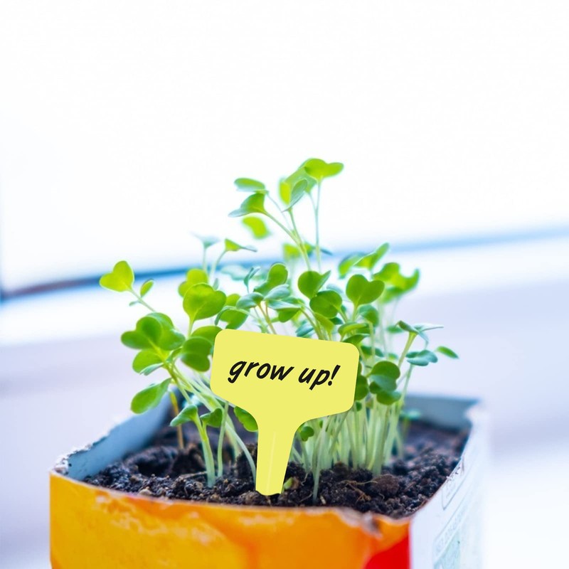 KINGLAKE 100pcs 6x10cm Plastic Plant Labels for Seeds, Seedling, Vegetables,