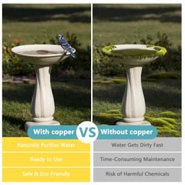 DMwespe 2Pcs Copper Disc for Bird Bath 99.99% Pure Copper 0.6mm Reinforced Cleaning Disk for Birdbath Water All-Season, Universal Fit Physical Safe for Outdoor Birdbaths Bowl