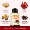 Turmeric Supplement with 10:1 Tart Cherry Extract, Turmeric Curcumin with