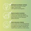 Microbe Life Hydroponics Premium Vitamins & Amino Acids Essential for