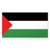 CafePress Palestine Flag Rectangle Sticker Rectangle Bumper Sticker Car Decal