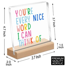 Inspirational Desk Sign,Positive Sign Desk Decor,You're Every Nice Word I Can Think Of Acrylic Plaque,Inspirational Gift for Women Friends Cheer Up Gift for Coworker A417
