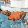Kuoser Life Jacket Dog, Durability Dog Life Jacket, Excellent Buoyancy