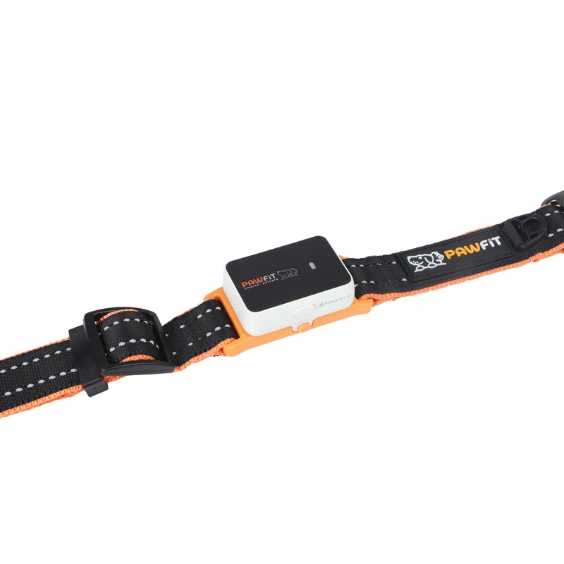Pawfit 3 Series Collar, Nylon Dog Collar with Safety Buckle,