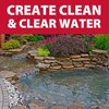 The Pond Guy Seasonal Defense, Spring & Fall Beneficial Bacteria,