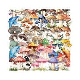 50PCS Transparent Mushroom Stickers for Laptop,Luggage,Computer,Scrapbook,Water Bottle,Luggage,Skateboard,Suitcase,Kawaii Plants Cartoon Vinyl Decals,Teens Sticker,Cute Trendy Graffiti Sticker