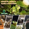 New Upgrade Reptile Heat Lamp Bulb (3rd Gen No Broken),
