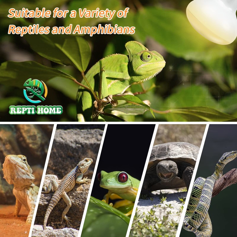 New Upgrade Reptile Heat Lamp Bulb (3rd Gen No Broken),