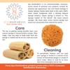 100% Natural Sea Sponge 5-6" by Spa Destinations"Creating The In