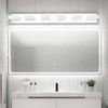 Ralbay Modern LED Bathroom Vanity Lights 6 Lights Acrylic Stainless