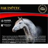 Shampoo Para Caballo Sábila/menta 10l Equinotec