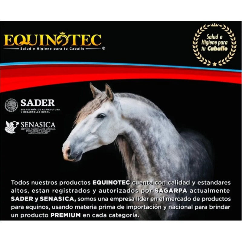 Shampoo Para Caballo Sábila/menta 10l Equinotec