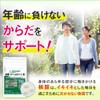 Health Support Team DNA & RNA Supplement, Glucose Plus, Salmon,