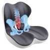 Seat Cushion & Back Support for Tailbone and Lower Back