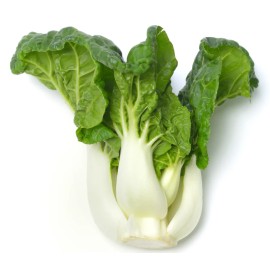 HSC Pak Choi Canton White Stem Chinese Cabbage Seeds | Fast Growing Vegetable Seeds