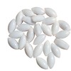 Varillas magnéticas para agitar mezclador PTFE (5 x 10 mm,