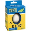 Hatchin Grow Dino