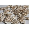 10pc Natural Cerithium Vertagus Seashells, Sliced Cut, 1.5-2 inch, White