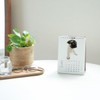 [ArtlistCollectionTHE DOG] Desktop Calendar ≪Maltese≫ 2025-7.1" x 5.1"