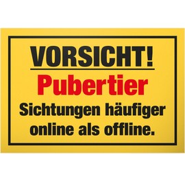 DankeDir! Pubertier - Plastic Sign 30 x 20 cm - Gift Idea Teenager Saying Room Door Sign Boys & Girls Teenagers Room Decoration Gift Idea Teenagers Door Decoration Birthday