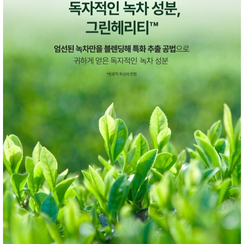 아모스프로페셔널 녹차실감 샴푸 지성 산뜻한 타입, 500g, 2개 Amos Professional