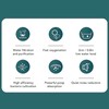 Turtle Filter Powerful 3 in 1 Water Circulation Low Water