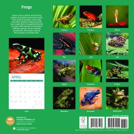 2025 Frogs Monthly Wall Calendar by Bright Day, 12 x 12 Inch Cute Nature Photography Gift