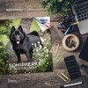 Schipperke Calendar 2020 - Dog Breed Calendar - Wall Calendar