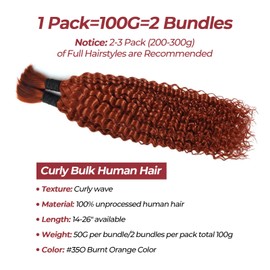 Human Braiding Hair for Boho Braids Ginger 350 22 Inch Curly Human Hair for Boho Braids 2 Bundles 100g Boho Hair for Braiding 100% Deep Wave Bulk Human Hair for Boho Knotless Braids (Ginger350,22inch)