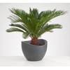 Scheurich Wave Globe, Planter made of Plastic, Black-Granite, 30 cm