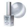 From the Nail Silver Magnetic Gel Single Item FG215 /