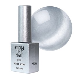 From the Nail Silver Magnetic Gel Single Item FG215 / 프롬더네일 실버 자석젤 단품 FG215