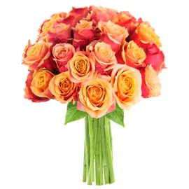KaBloom PRIME NEXT DAY DELIVERY - Fall Collection - Farm Fresh Bouquet of 25, Orange Roses, 2.5 Pound. Gift for Birthday, Sympathy, Anniversary, Thank You, Valentine, Mother’s Day Fresh Flowers