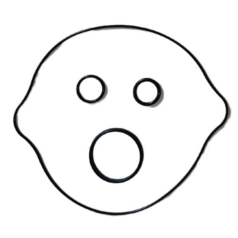 Top and Bottom End Engine Gasket Kit Set with Oil