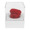 Rose Night Light Romantic Small USB Charging Soft Brightness Decoration