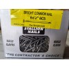 ACE Stallion 6d 2 In. Common Bright Steel Nail Smooth