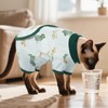 DENTRUN Cat Surgery Recovery Suit Female Male Soft Onesie, Kitten