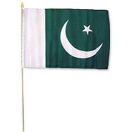 AES 12x18 12"x18" One Dozen (12) One Dozen Pakistan Country Stick Flag 30" Wooden Staff