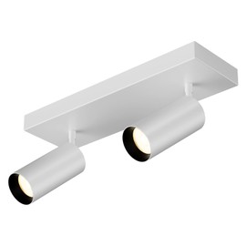 Spotlight Indoor Ceiling LED Light,2 Lights 40W Modern Spot Light Fixtures 4000K White Accent 300°Adjustable Picture Painting For Living Room Bedroom Hallway Gallery Flush Mount Directional Lighting