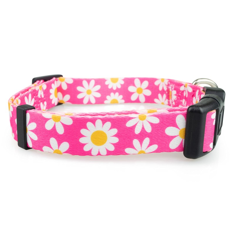Limeloot Pink Daisy Dog Collar, Spring Summer Dog Collar for