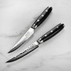 Enso HD 2-piece Steak Knife Set
