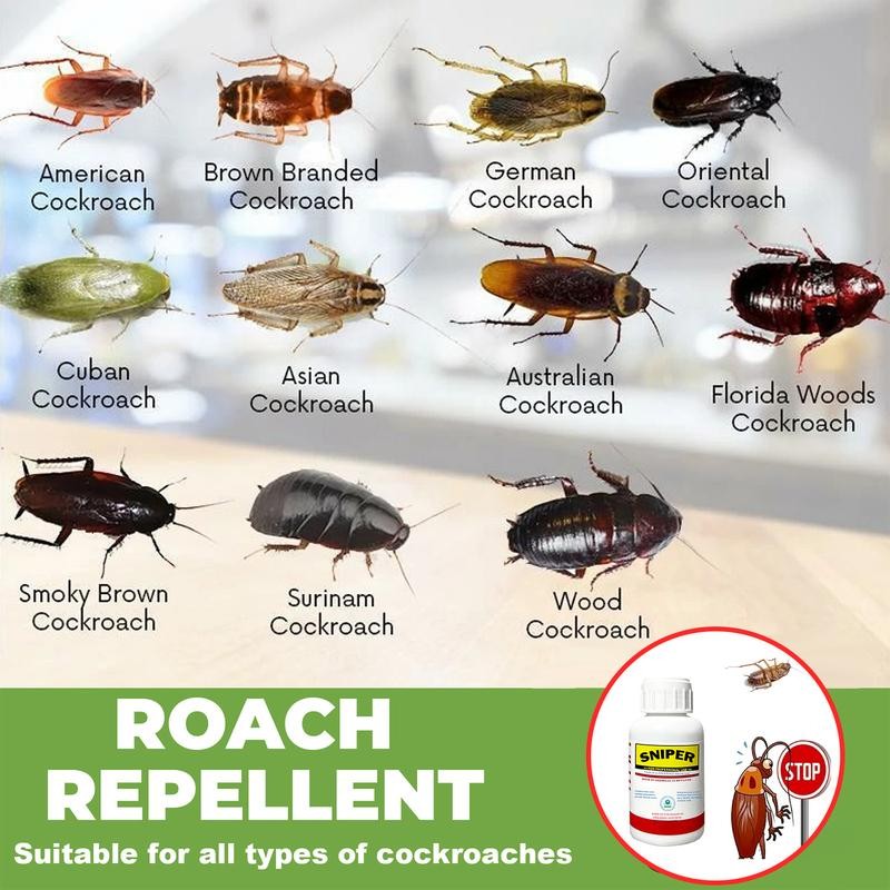 household cleaners:_5 pcs