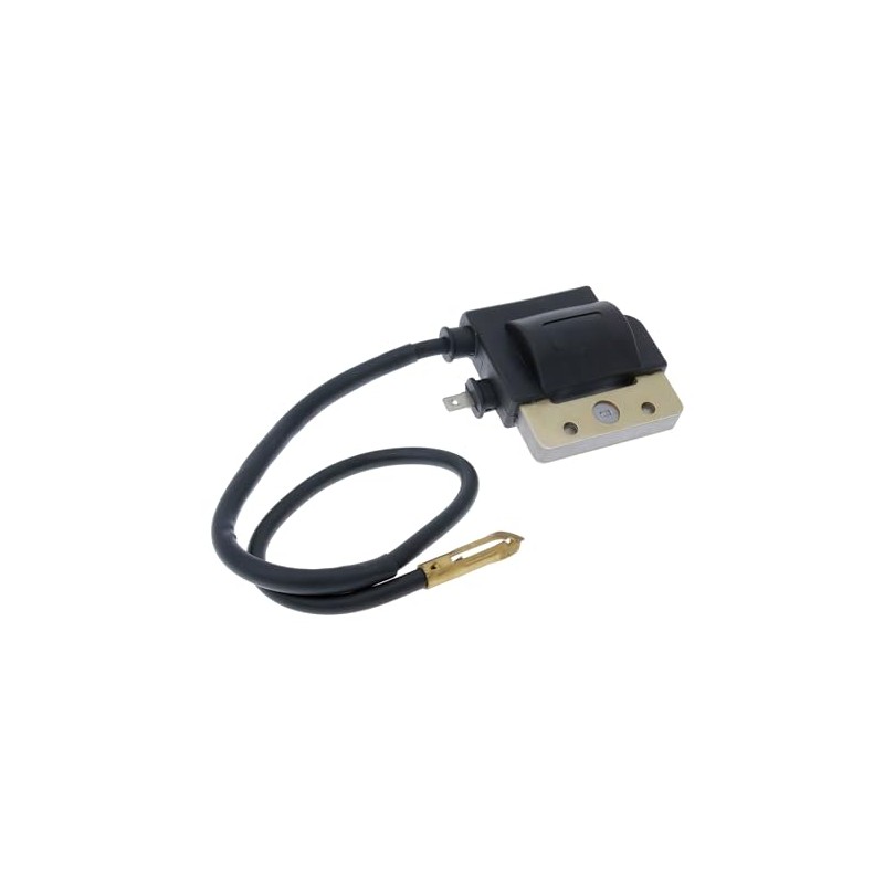 CG94 External Ignition Coil with Spark Plug Cable 6V Compatible