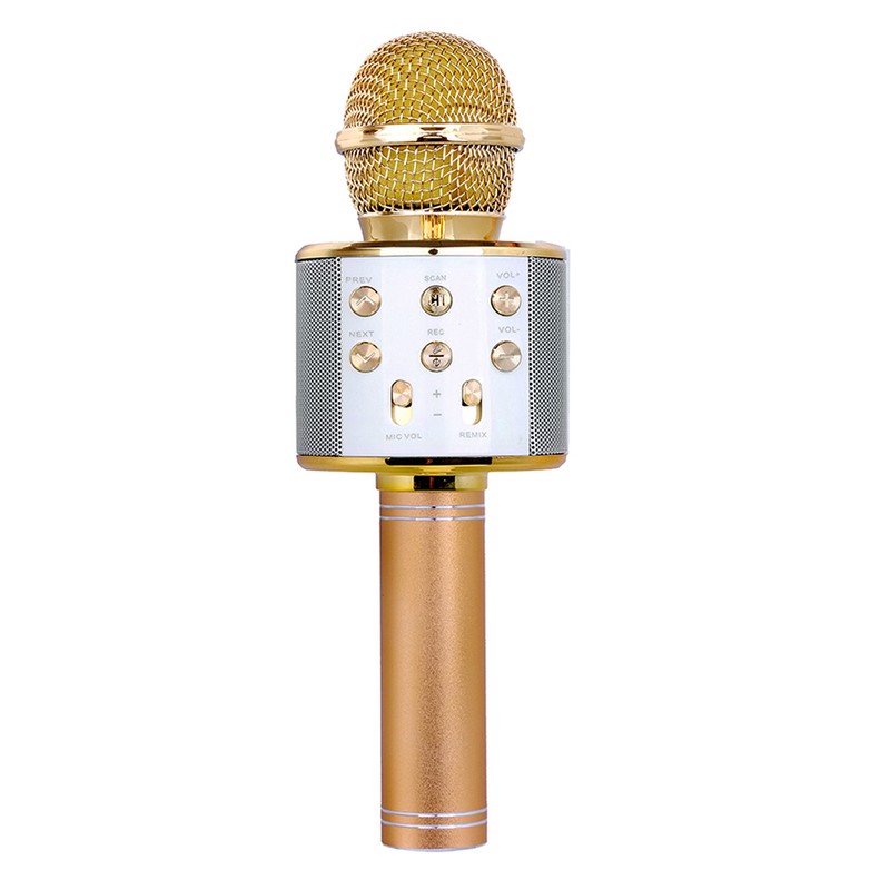 Professional BT Wireless Microphone Karaoke Speaker KTV Music Player Singing