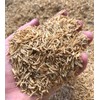 GARDENERA Premium Rice Hulls - Sustainable Gardening Essential for Improved