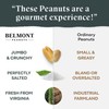 Belmont Peanuts Gourmet Sea-Salted Virginia Peanuts, 20 oz (1 Pack)