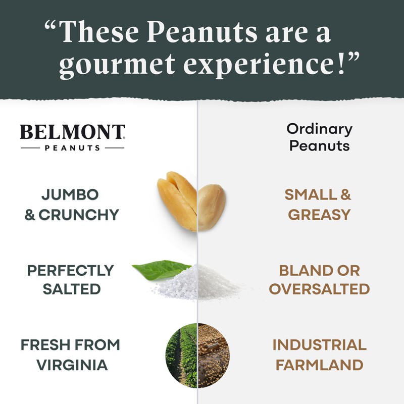 Belmont Peanuts Gourmet Sea-Salted Virginia Peanuts, 20 oz (1 Pack)